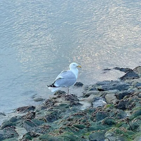 Fewomik Сasa de vacaciones Norden