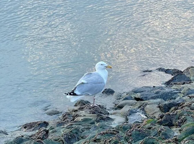 Fewomik In Norddeich, Ruhige Lage, In Hafennaehe Holiday home Norddeich (Norden)